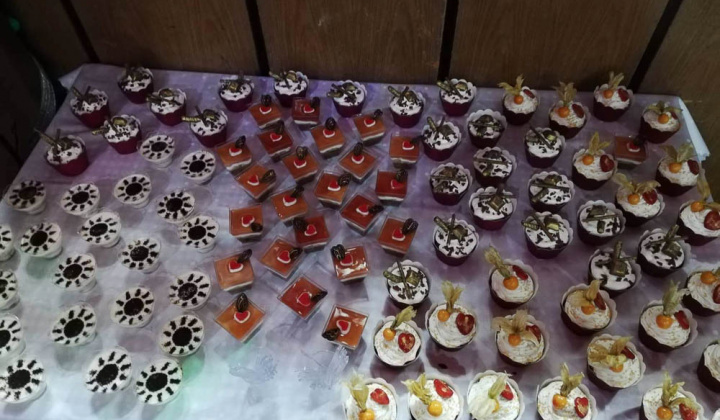 4. fotografia fotogalérie 2. Ples obce 2.3.2019