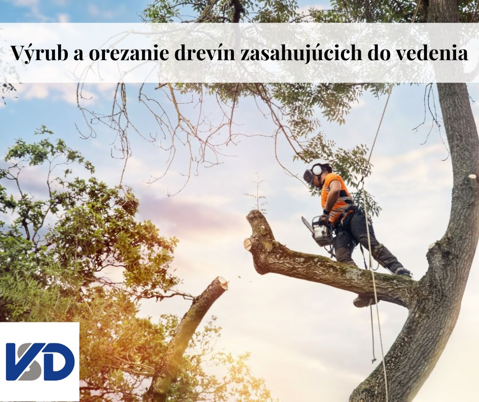 Fotka - Oznámenie spoločnosti VSD o výrube drevín/krovitých porastov