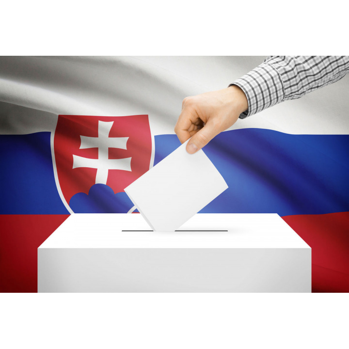 Menšia fotka pre článok Voľby prezidenta Slovenskej republiky 2024
